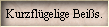 Kurzflgelige Beis.