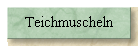 Teichmuscheln