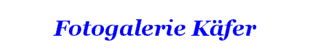Fotogalerie Kfer