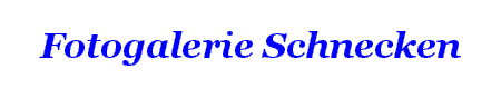 Fotogalerie Schnecken